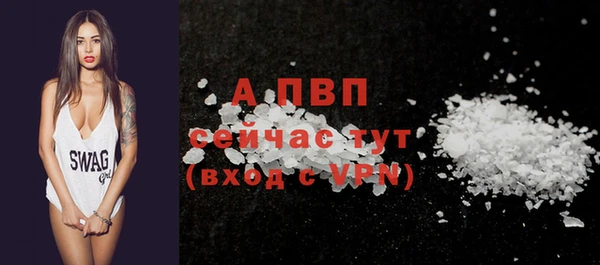 гашик Пестово