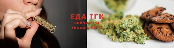 индика Алексин