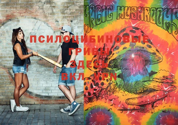 метамфетамин Алексеевка