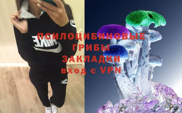 экстази Переславль-Залесский