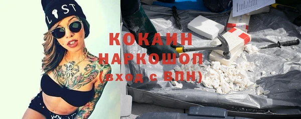 индика Алексин
