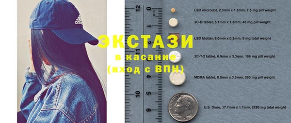 индика Алексин