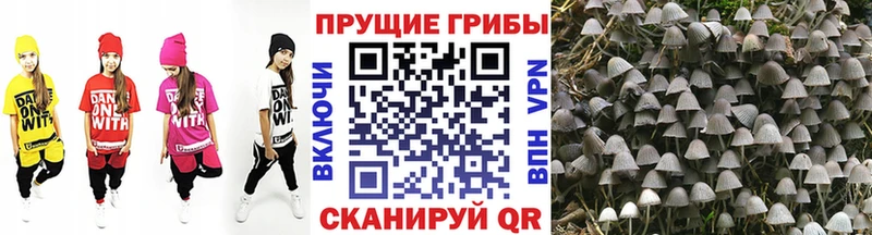 нарко площадка состав  Кызыл  Галлюциногенные грибы ЛСД 