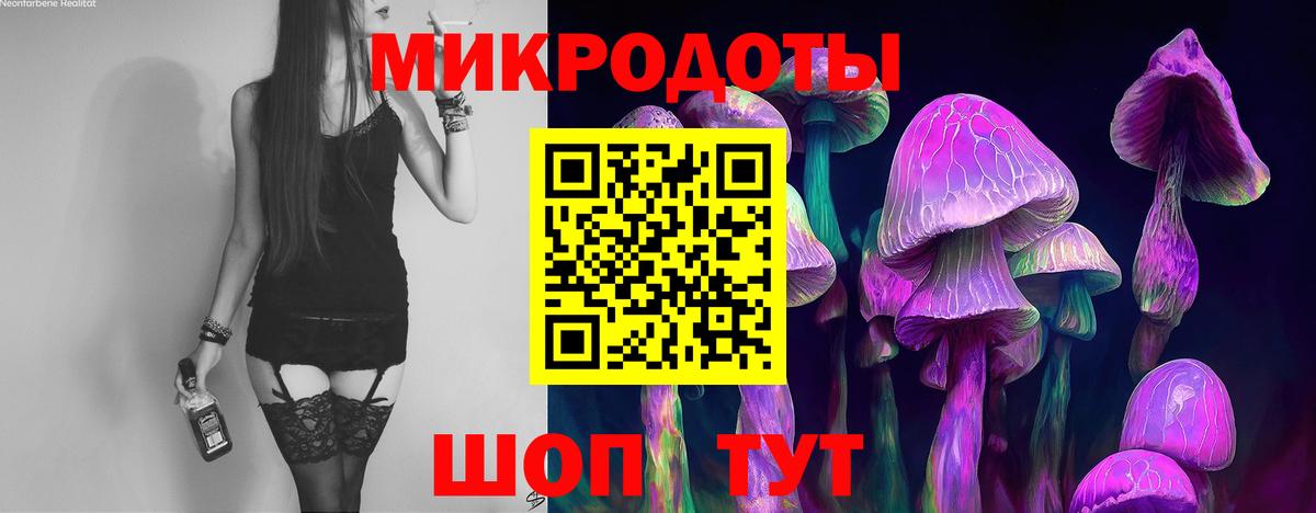 Кызыл  Псилоцибиновые грибы мухоморы  Вход с VPN 